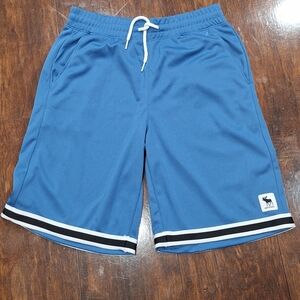 Abercrombie Kids Blue Shorts